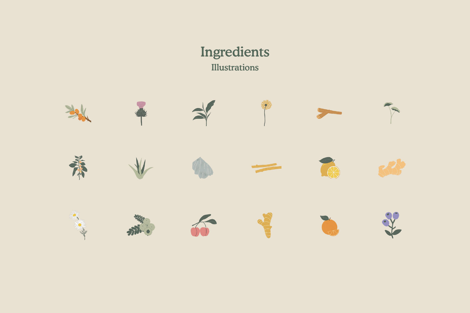 Dose brand design exploration 6