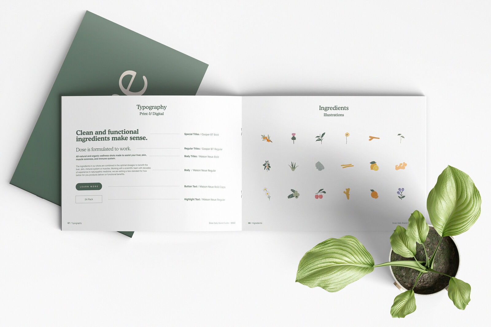 Dose brand guide book mockup