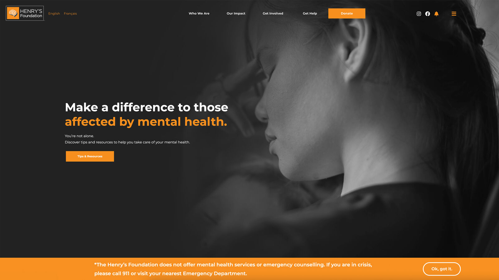 Henrys Foundation project image 6