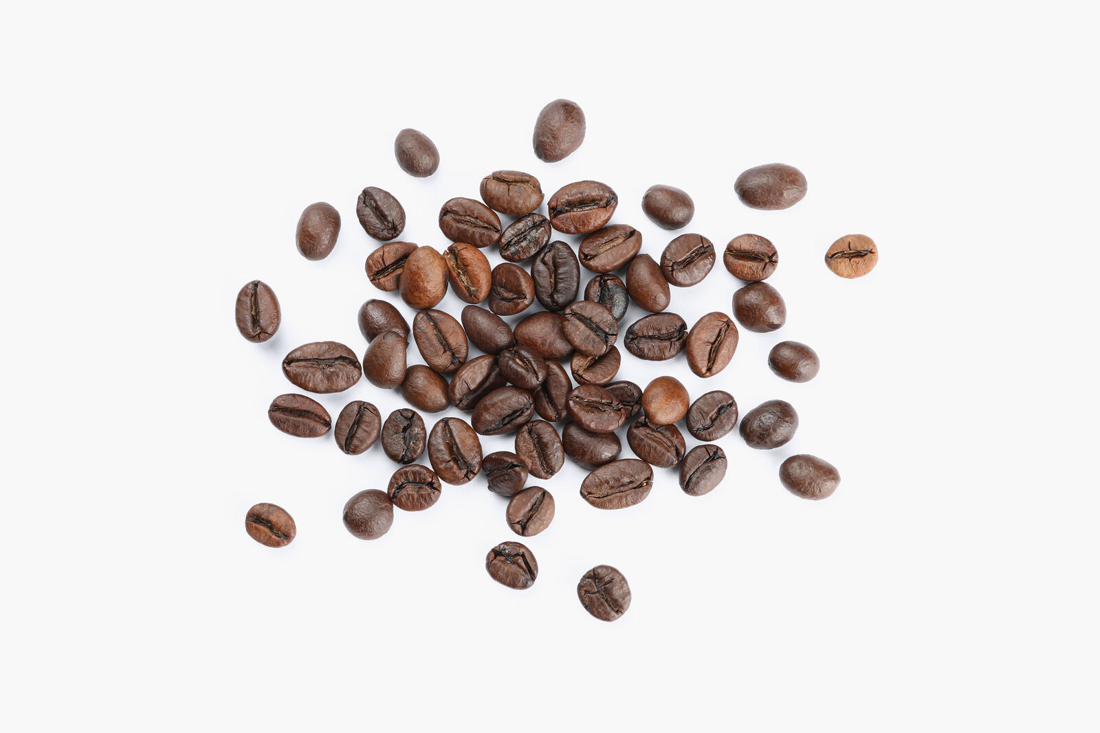 Beaver Rock Roastery project image 23